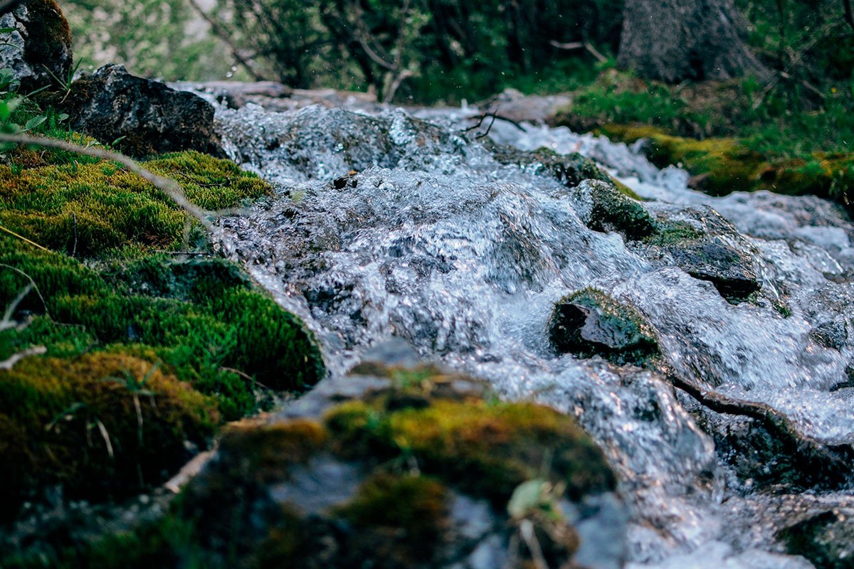 Protegiendo las quebradas: la clave para un ecosistema saludable